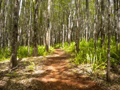 Upper Trail