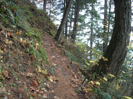 Shadow Box display of pictures on the Gorge Trail 400