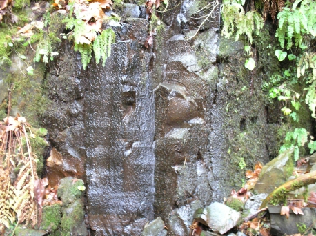 Rock Waterface at Edge of Mt Hood National Forest