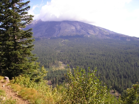 East end of Cinnamon Trail 204 - Looking North at Mt St Helens