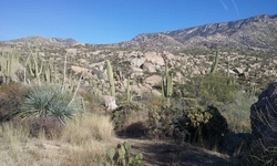 50 Year Trail Views