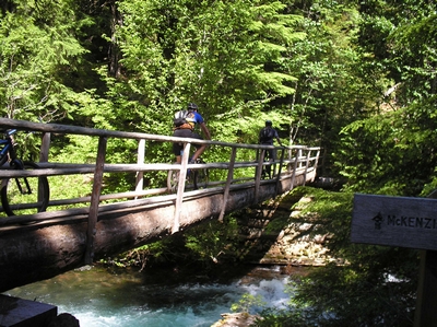 Shadow Box display of pictures on the McKenzie River Trail