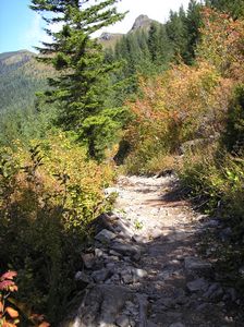 Click for Shadow Box display of pictures on the Tarbell Trail