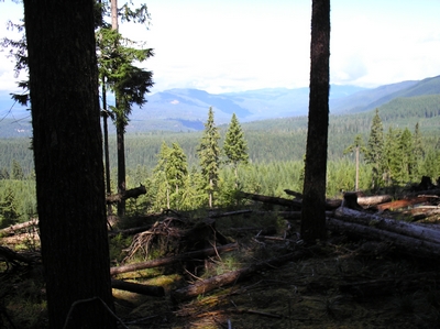 Over looking the Wind River