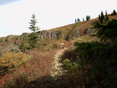 Click for Shadow Box display of pictures along the Tabel/Chinook Trail