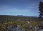 Peterson Ridge Far Overlook
