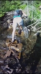Loowit Loop Creek Crossing